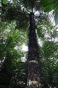 P1050846LCR.jpg