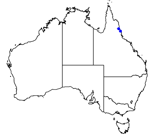File:Lamap.png