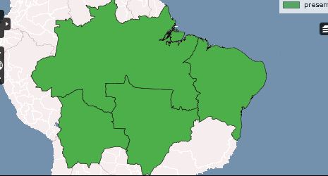 Ac56023912320.JPG