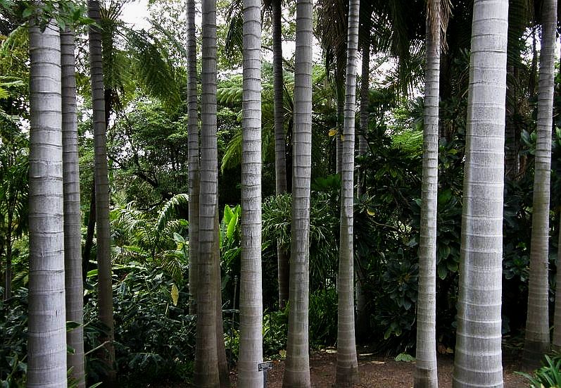 File:Ac0032.jpg