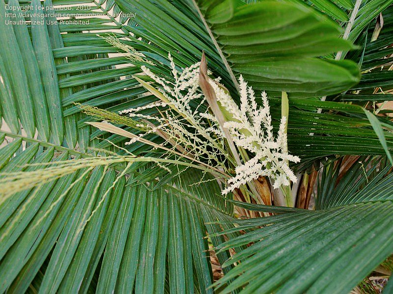 File:6ef6d2.jpg