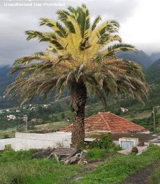 File:33bd8d.jpg