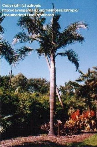 File:B63bd1.jpg