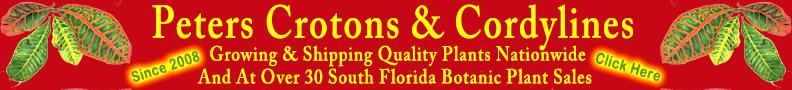 PetersNEW.png
