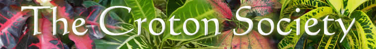 Crotonbanner