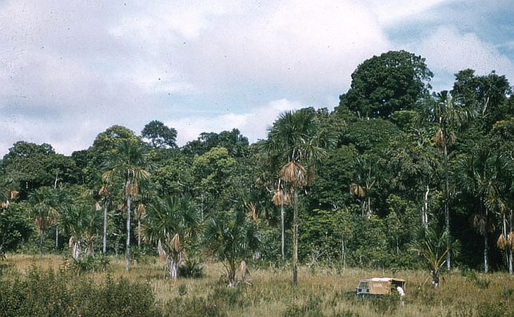 File:Mf2788211.jpg