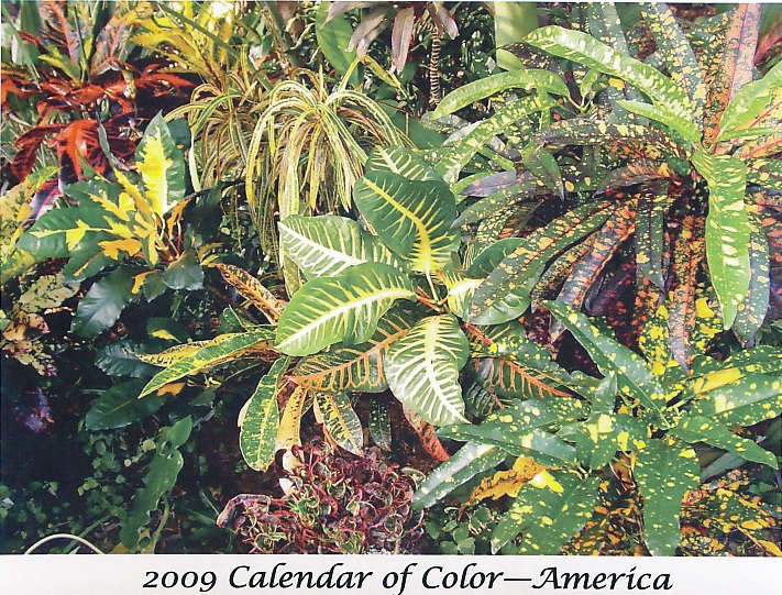 File:CCOct2012.jpg
