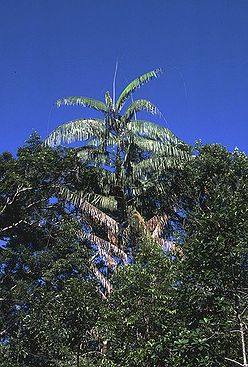 Co2787856.jpg
