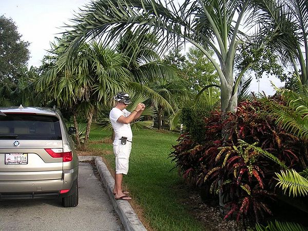 Florida-040.jpg