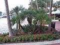 Thumbnail for version as of 08:12, 16 August 2012