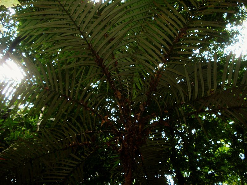 File:6715094723 1701c863c6 o.jpg