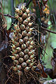 Thumbnail for version as of 00:46, 12 July 2012